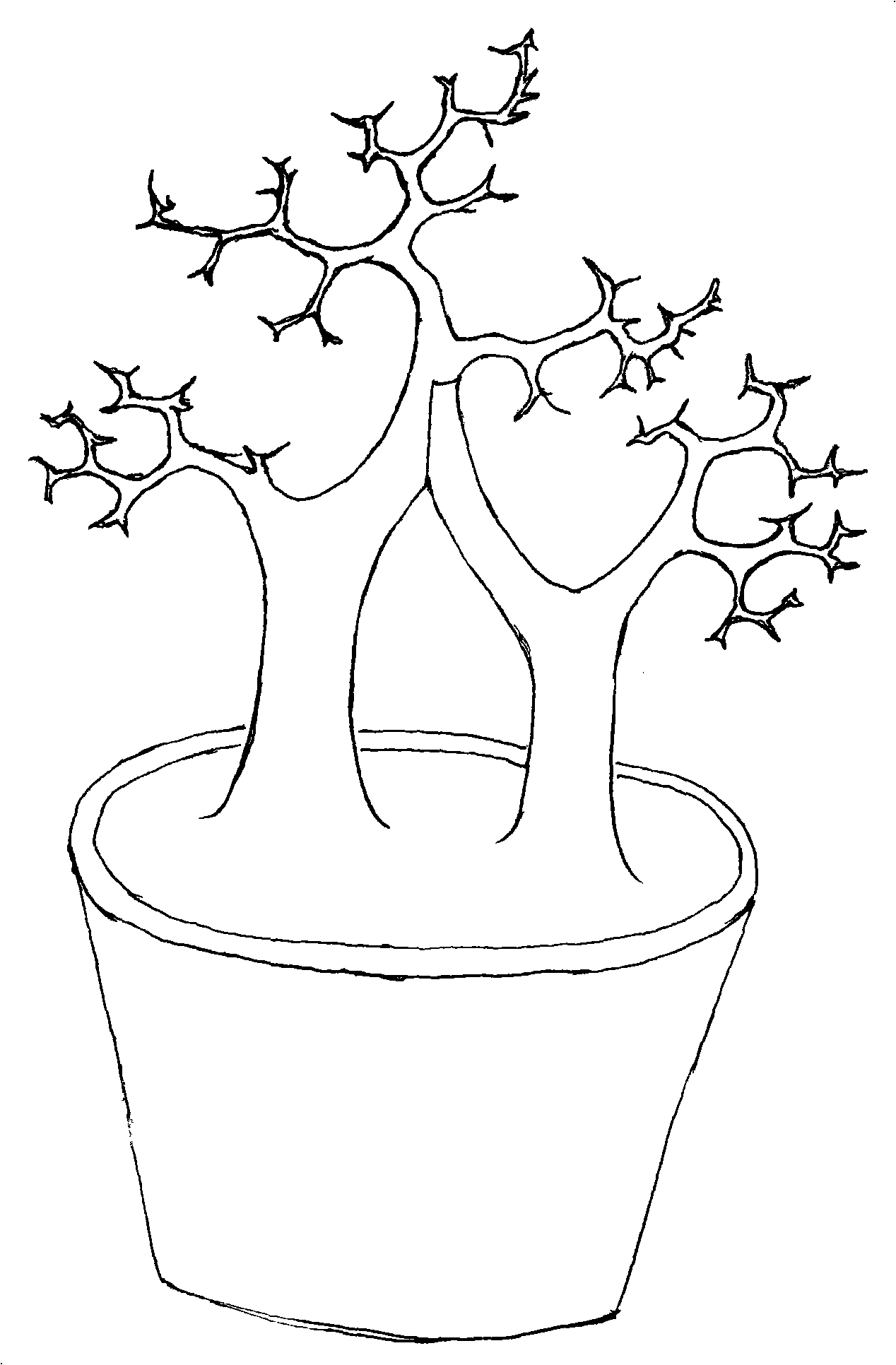 Cultivation method of potted branch-interlocked tree