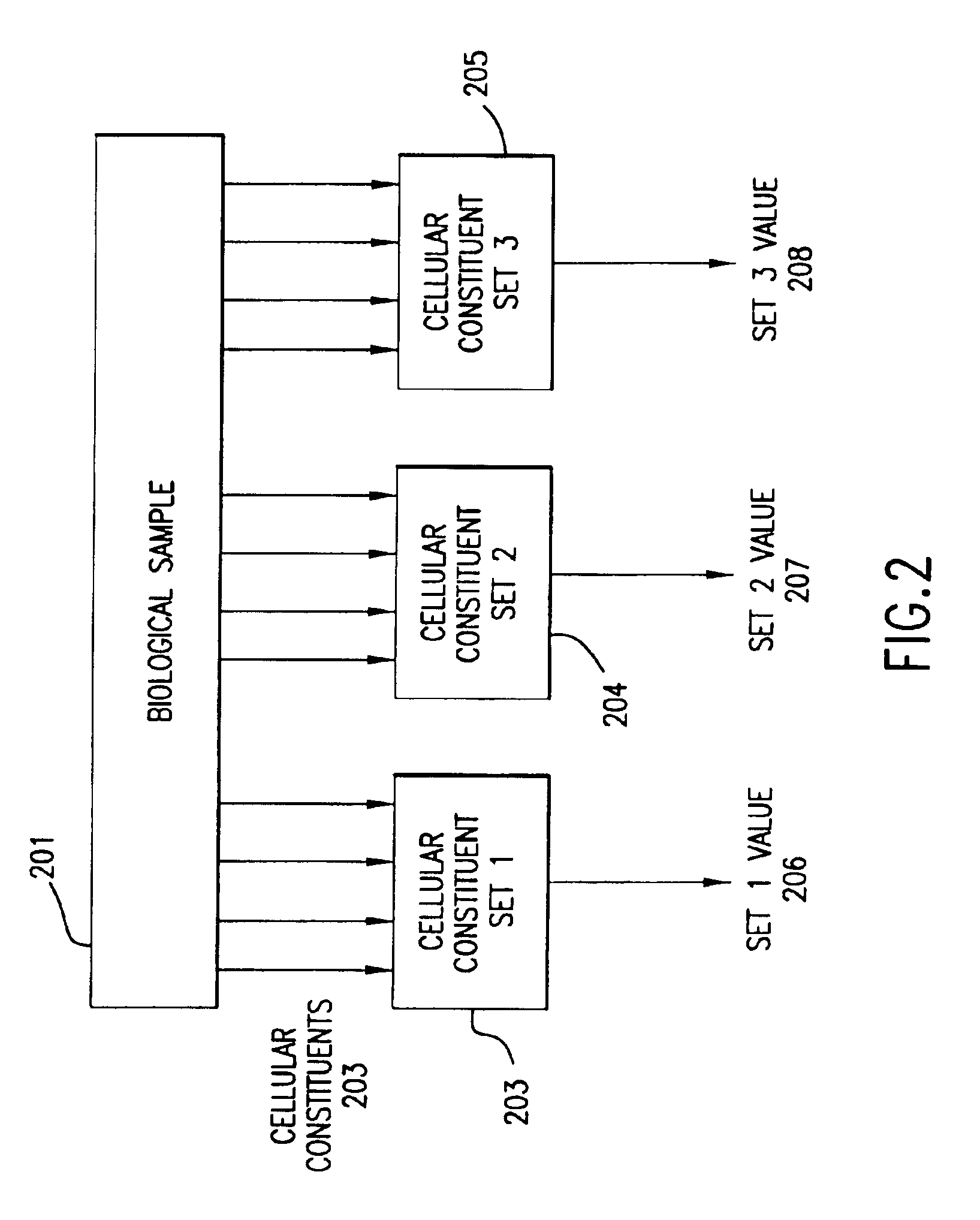 Methods for removing artifact from biological profiles