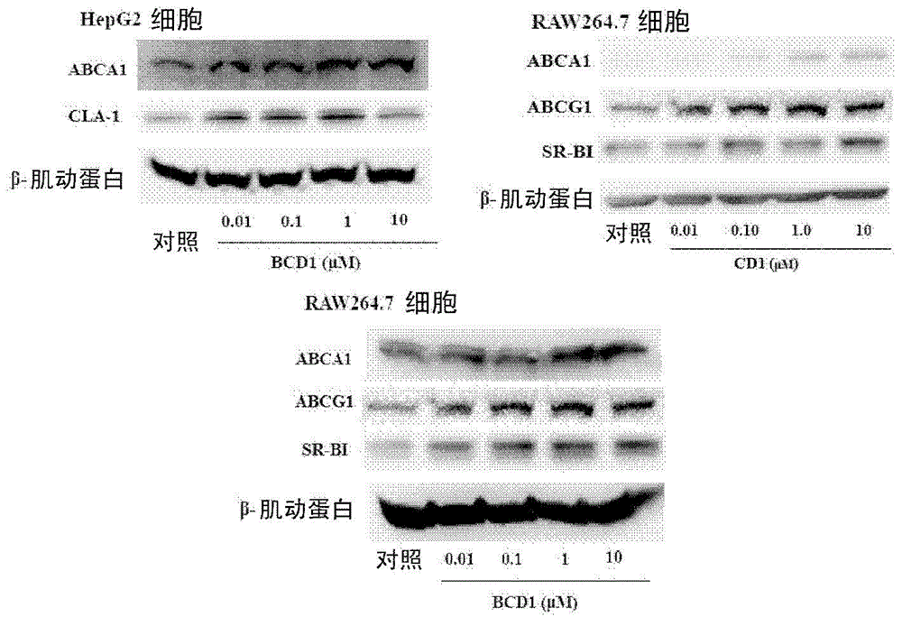 Aryl-substituted amide compound, preparing method thereof, medicine composition comprising same, and application thereof