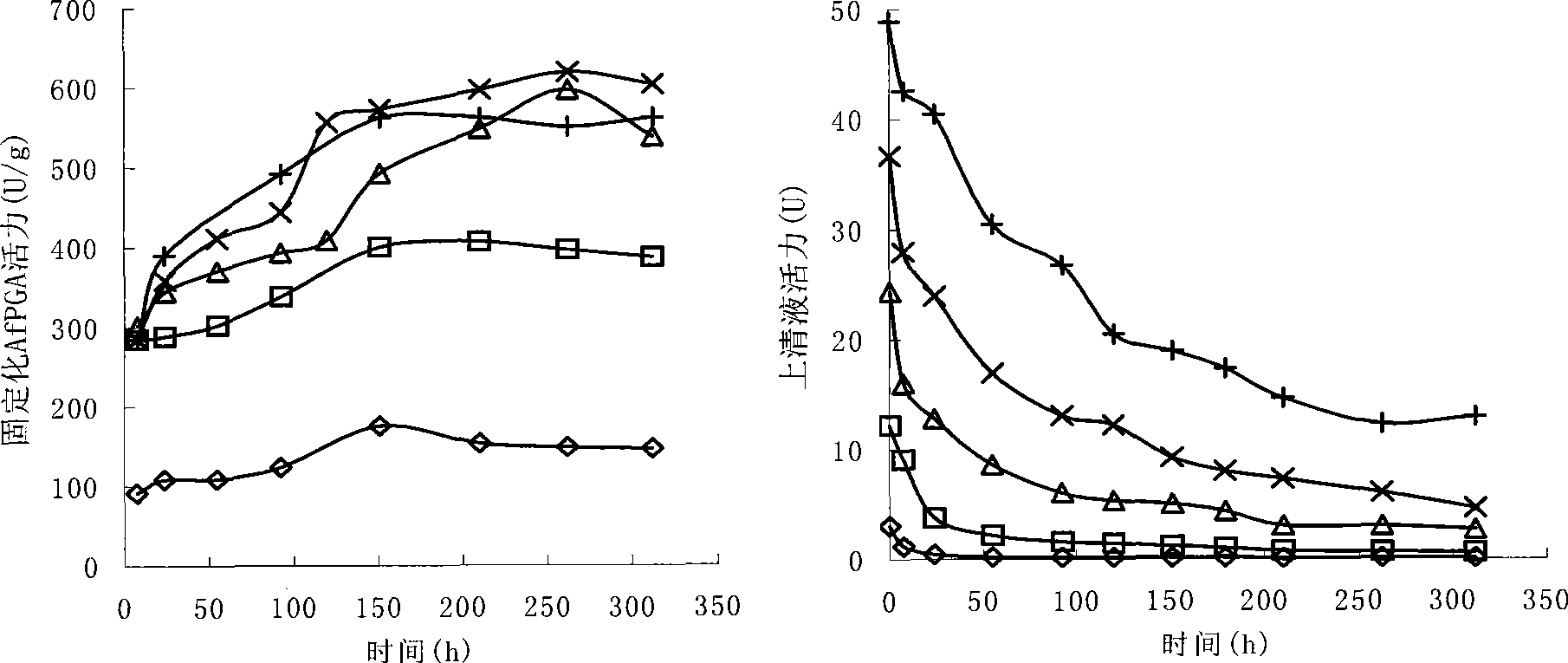 Immobilization method of alcaligenes faecalis penicillin G acylase