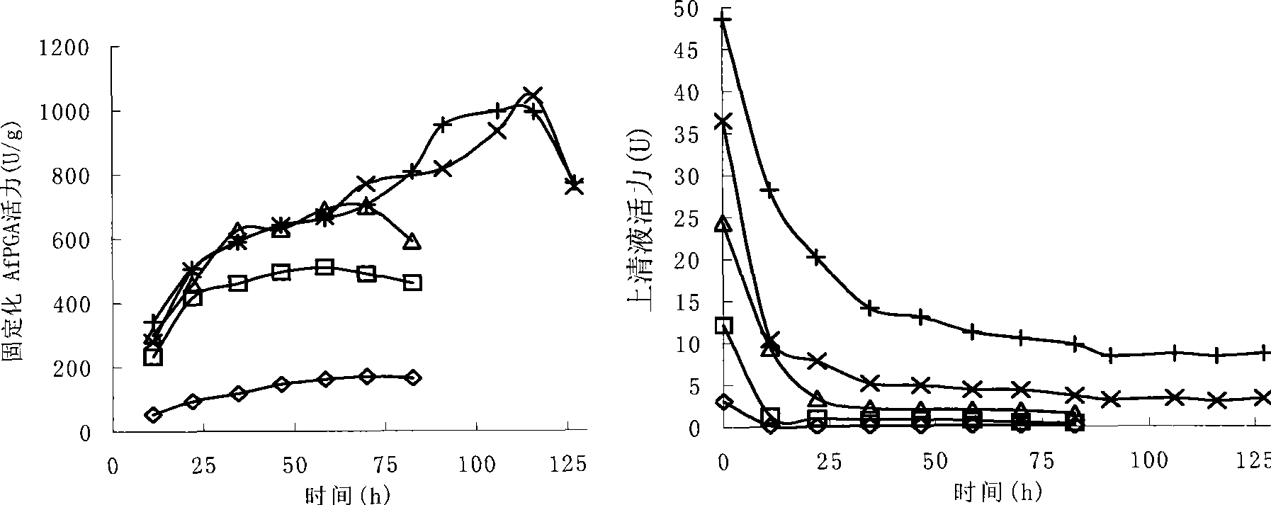 Immobilization method of alcaligenes faecalis penicillin G acylase
