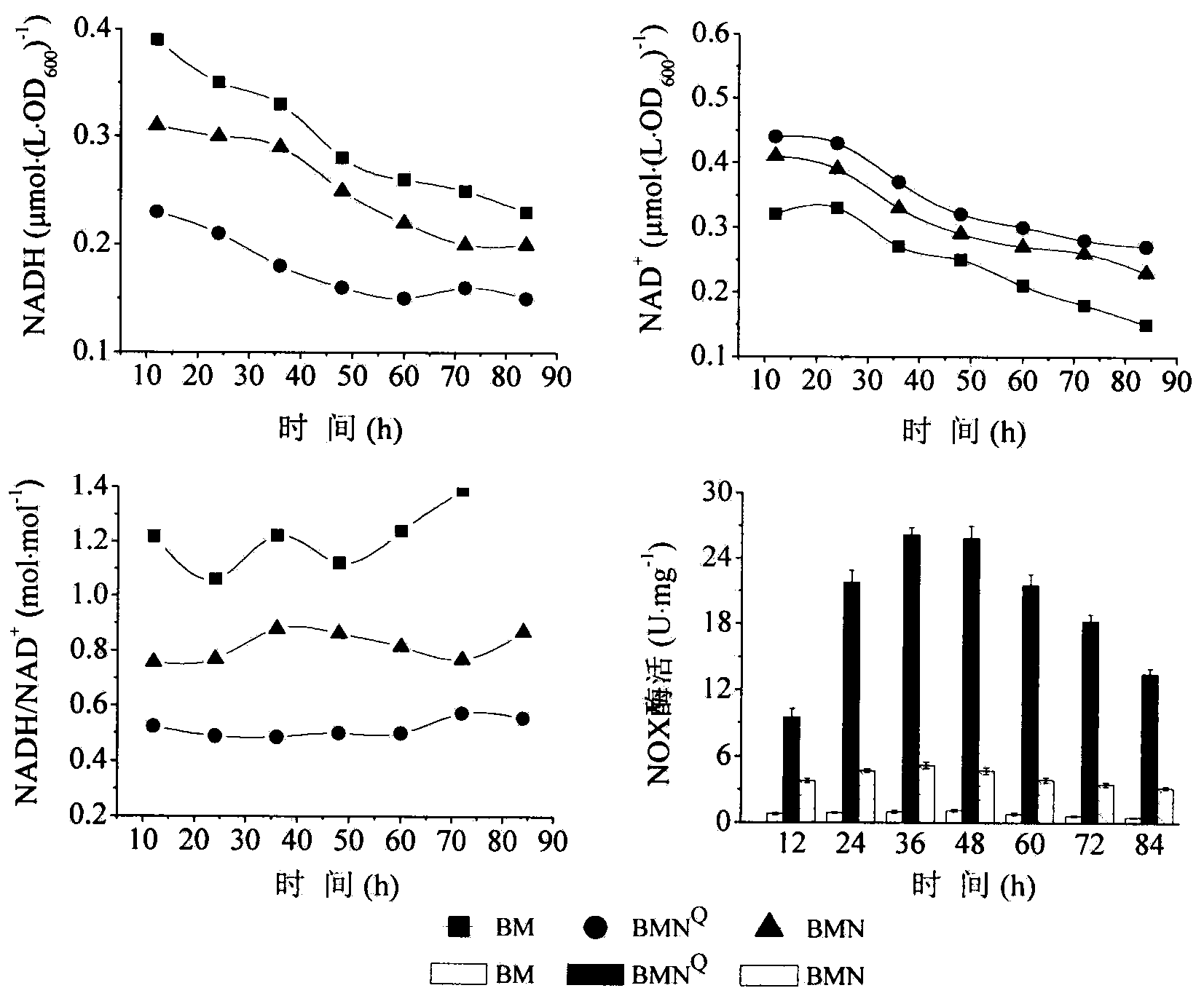 Method for producing acetoin through high-efficiency fermentation by appropriately expressing novel bacillus subtilis NADH oxidizing enzyme