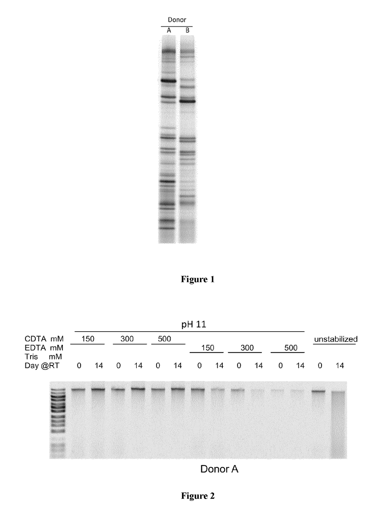 Composition and Method for Stabilizing Nucleic Acids in Biological Samples