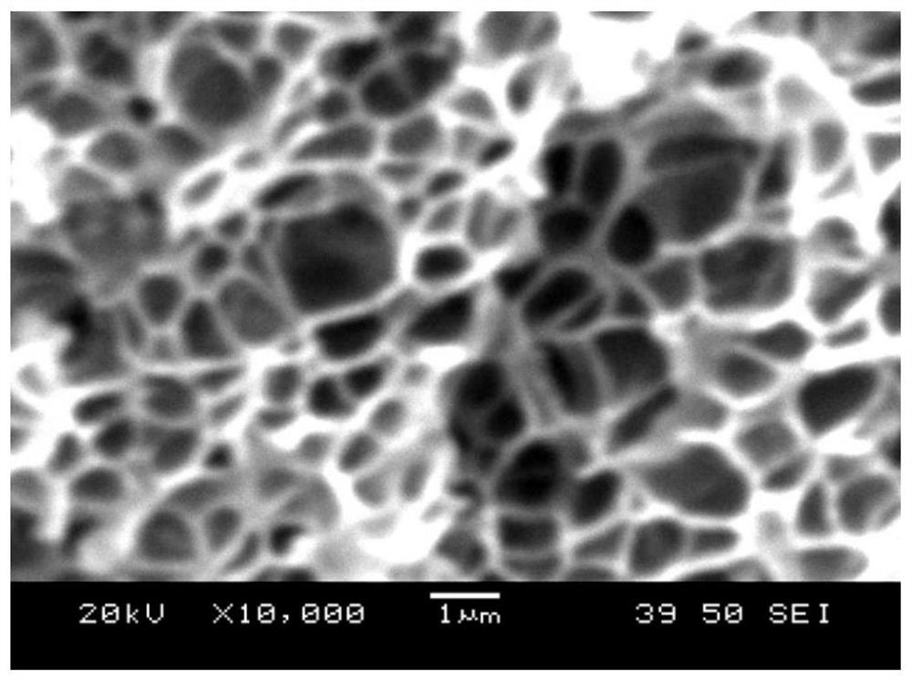 An integrated broadband high wave-transparent tough polyolefin microcellular foam material and its preparation method