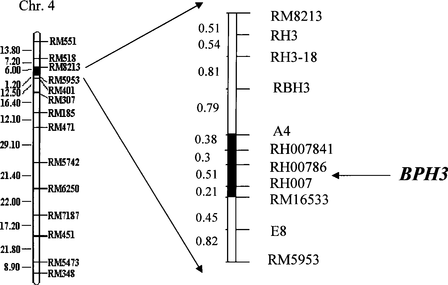 Molecular marker method of rice variety brown planthopper resistance main gene Bph3