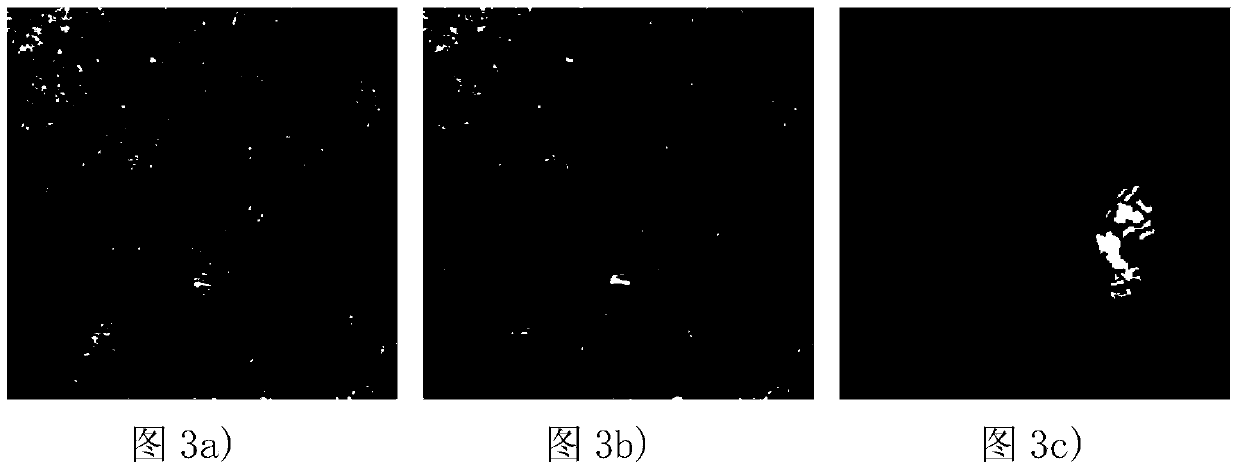Synthetic aperture radar (SAR) image change detection method based on multi-objective evolutionary algorithm based on decomposition (MOEA/D) and fuzzy clustering