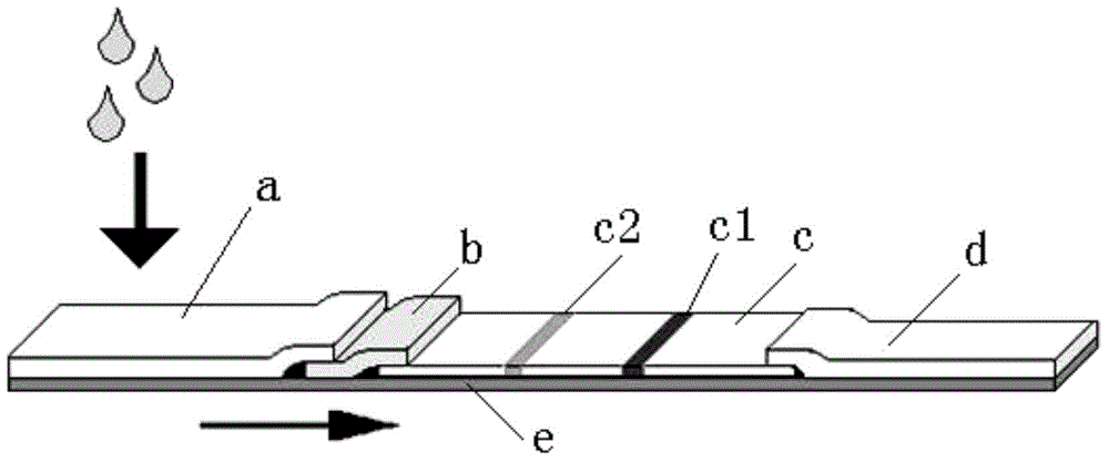 Immunomagnetic bead substrate color development test paper and preparation method thereof