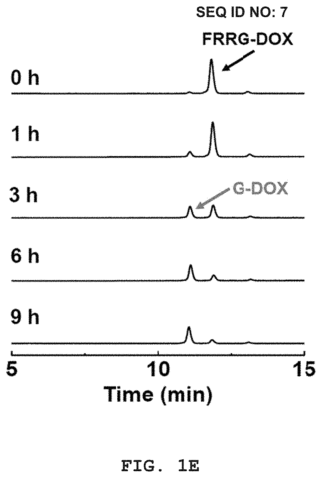 Tumor cell-specific responsive self-assembling drug nanoconjugate