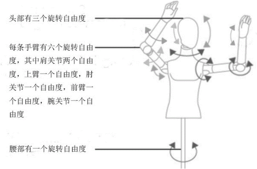 Sixteen-freedom-degree clothes model robot
