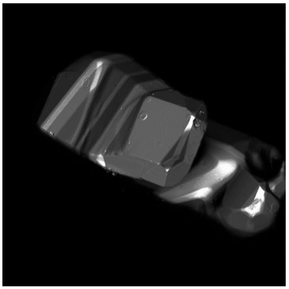 A method for detecting the surface roughness of Octogen particles