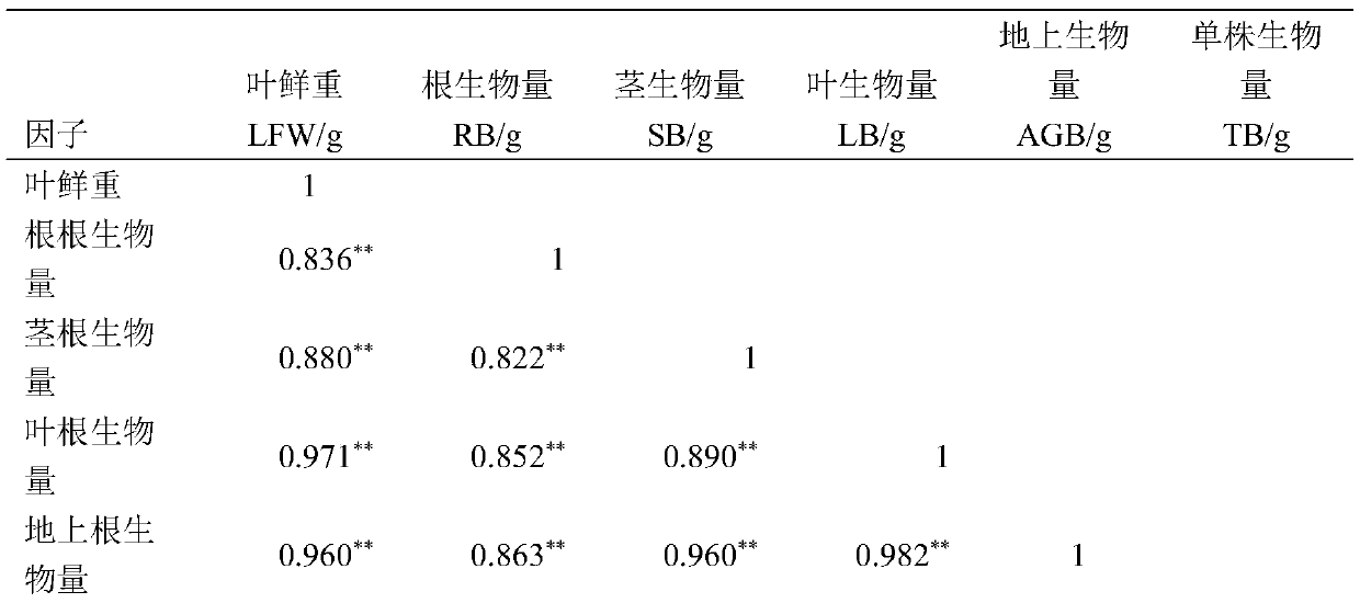 Method for estimating biomass of Yunnan pine seedlings