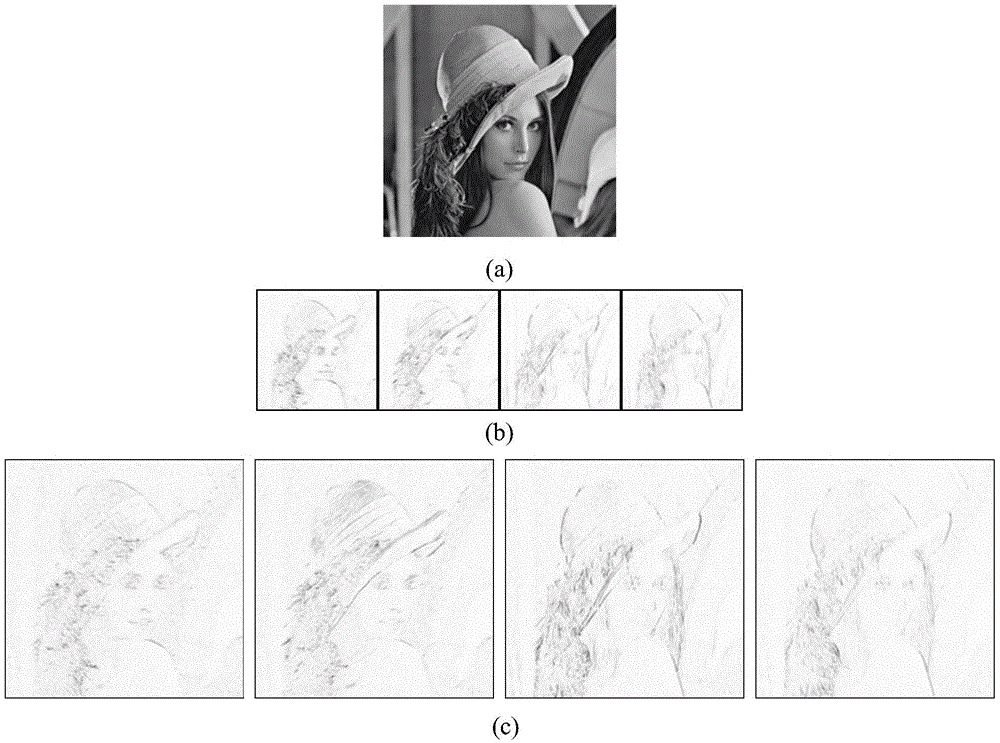 A Multi-scale Geometric Representation Method for Nonlinear Images