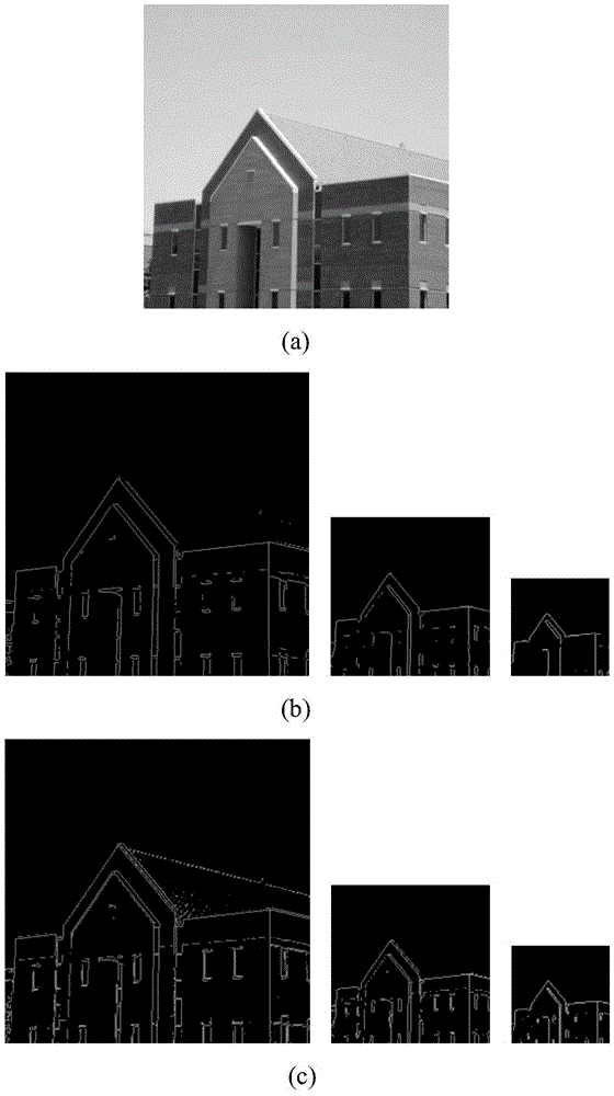 A Multi-scale Geometric Representation Method for Nonlinear Images