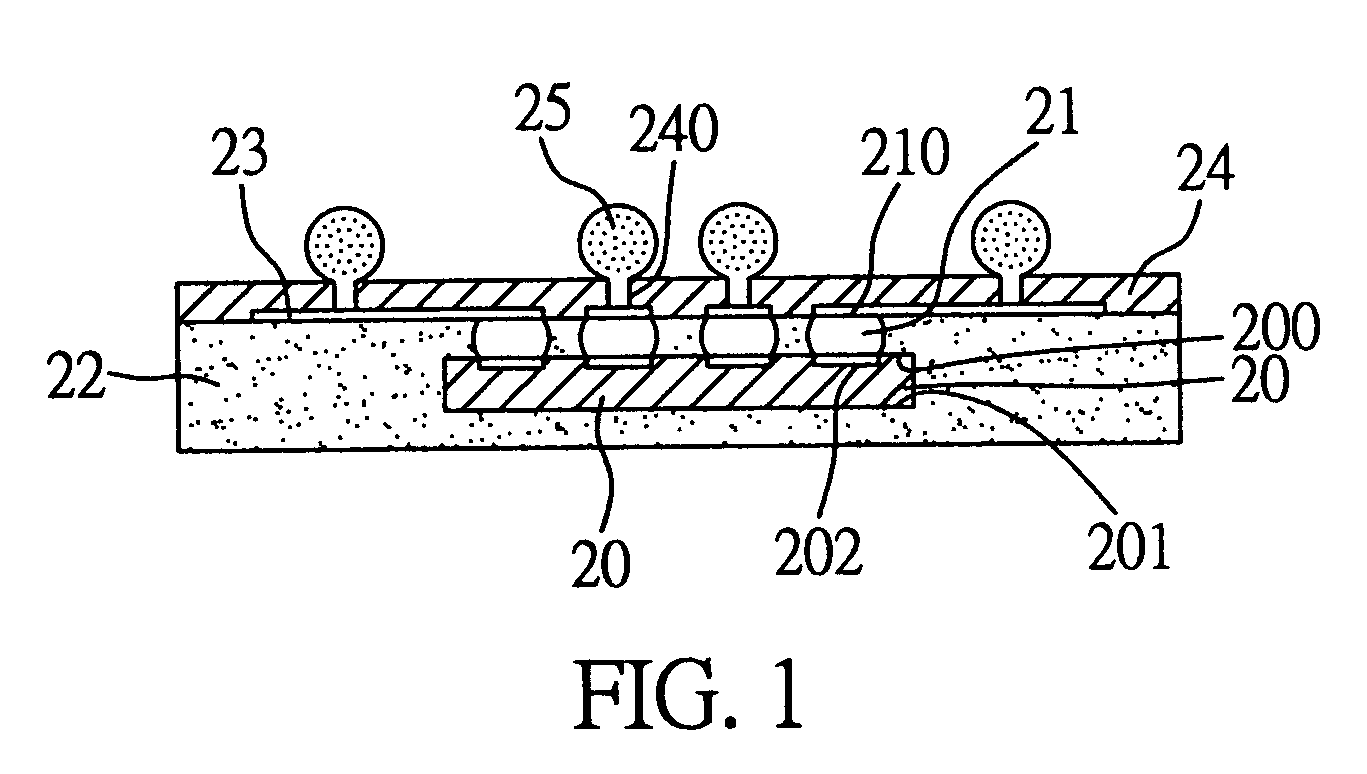 Semiconductor package having conductive bumps on chip and method for fabricating the same