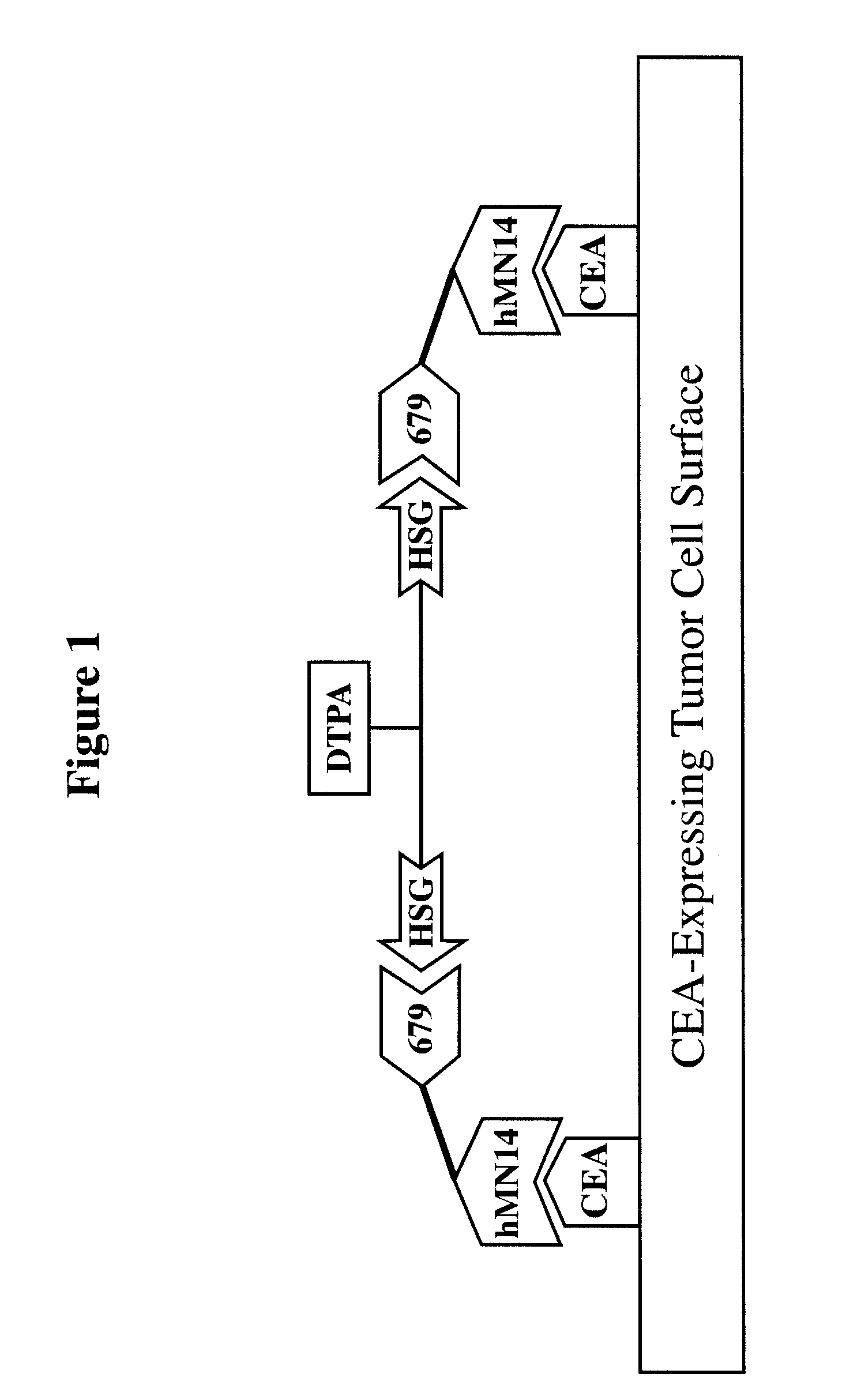 Methods and Compositions for Administering Therapeutic and Diagnostic Agents