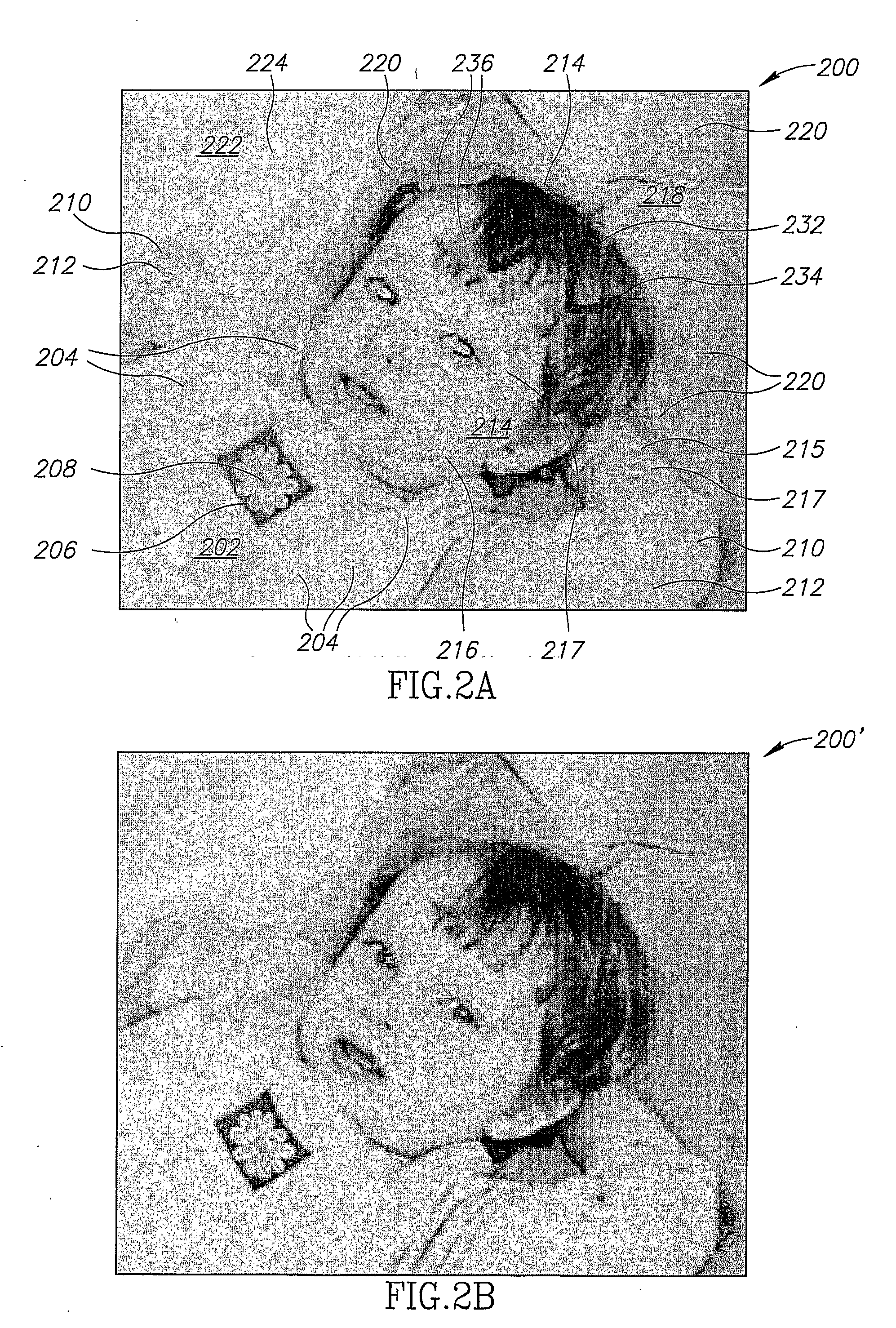 Colorization method and apparatus
