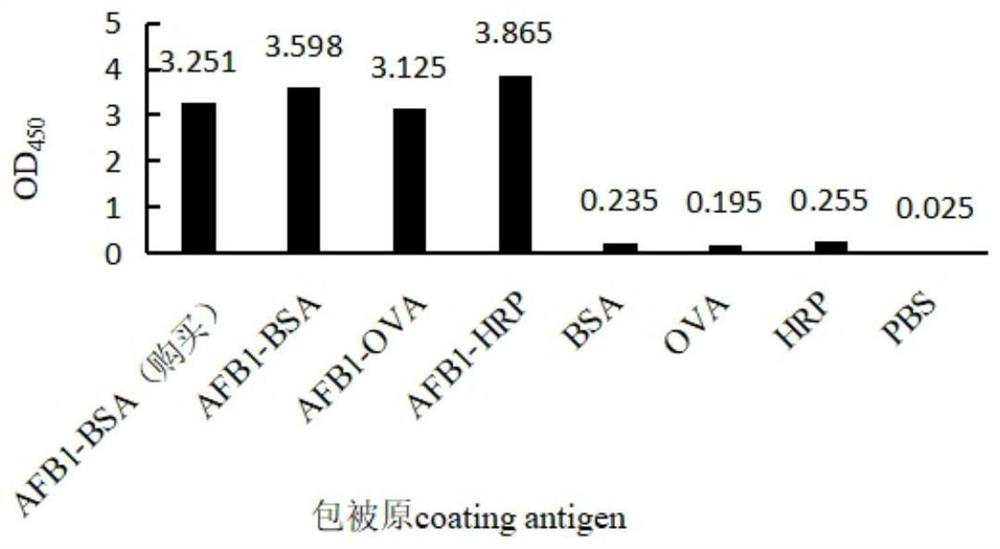 Method and kit for rapidly detecting AFB1 by direct competitive ELISA (enzyme-linked immuno sorbent assay) method