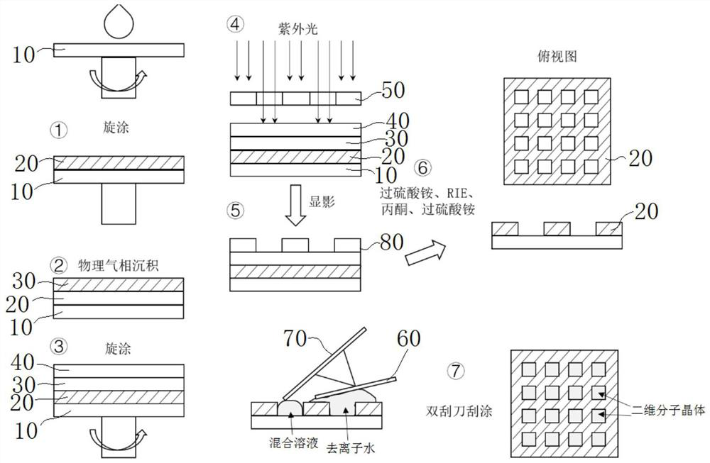 Patterned preparation method of two-dimensional molecular crystals based on double scraper technology