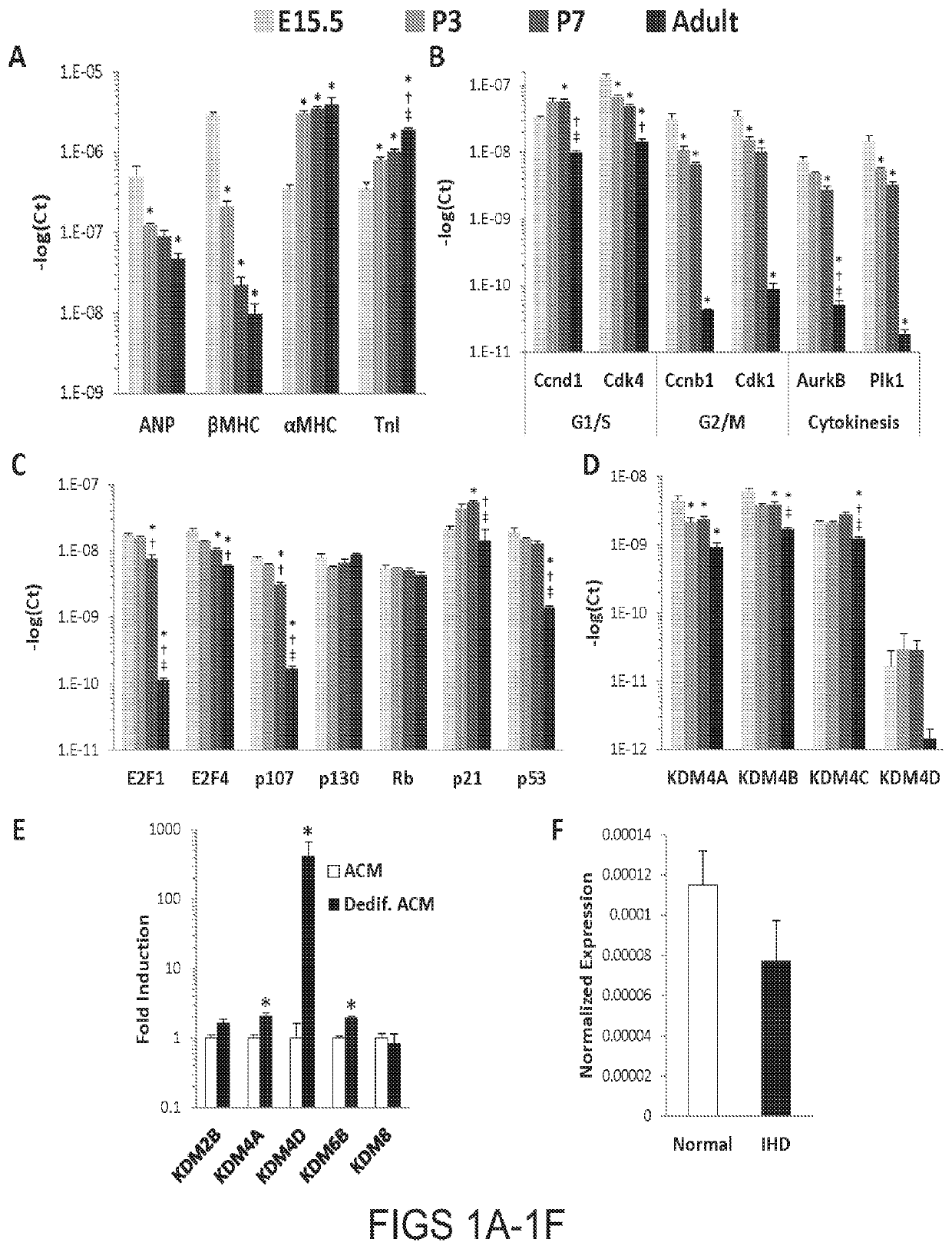 Vectors and methods for regenerative therapy