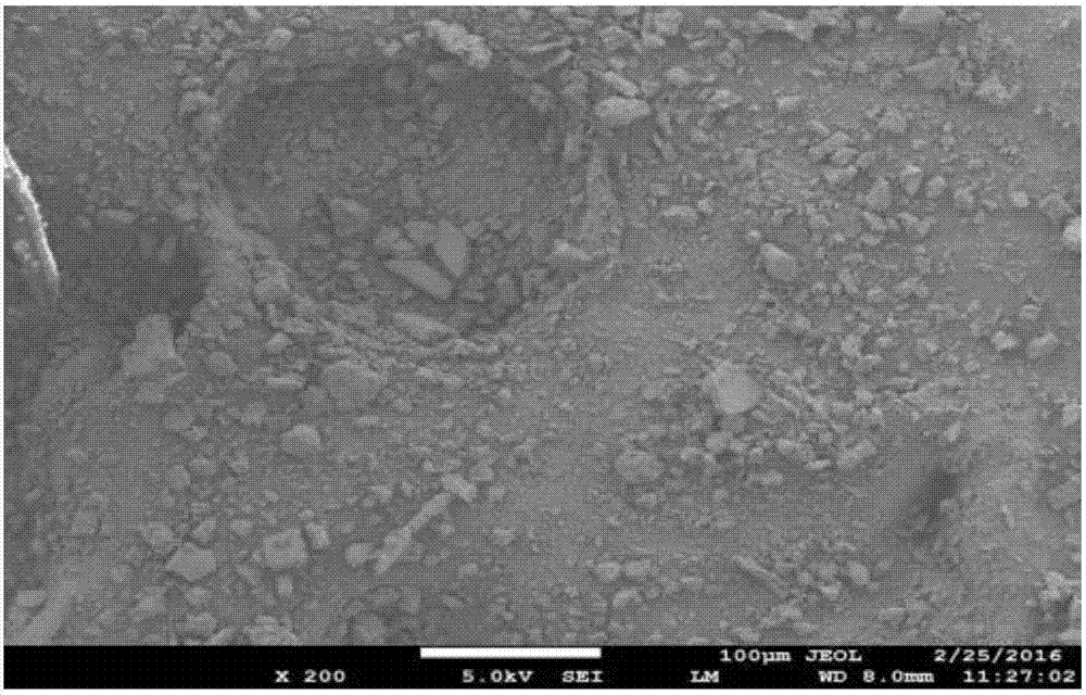 Curcumin porous silicon and preparation method thereof