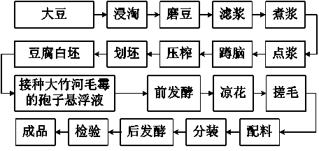 Dazhu river mucor strain and method for rapid production of dazhu river red bean curd by using same