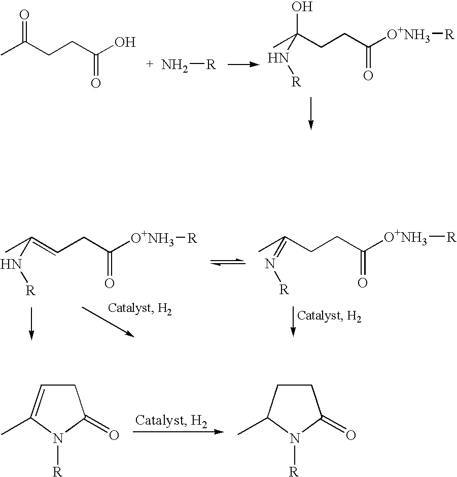 Process for making 5-methyl-N-alkyl-2-pyrrolidone from alkyl amine(s) and levulinic acid