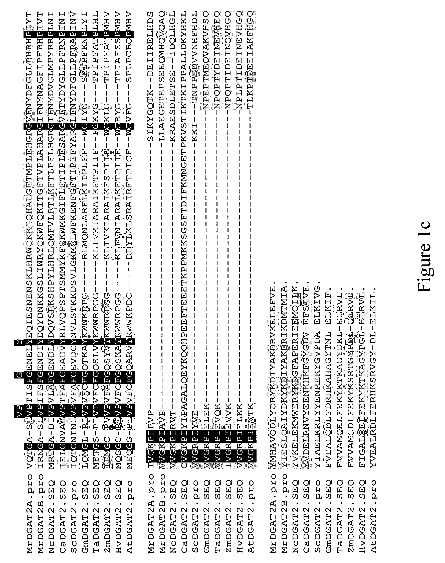 Diacylglycerol acyltransferase nucleic acid sequences and associated products