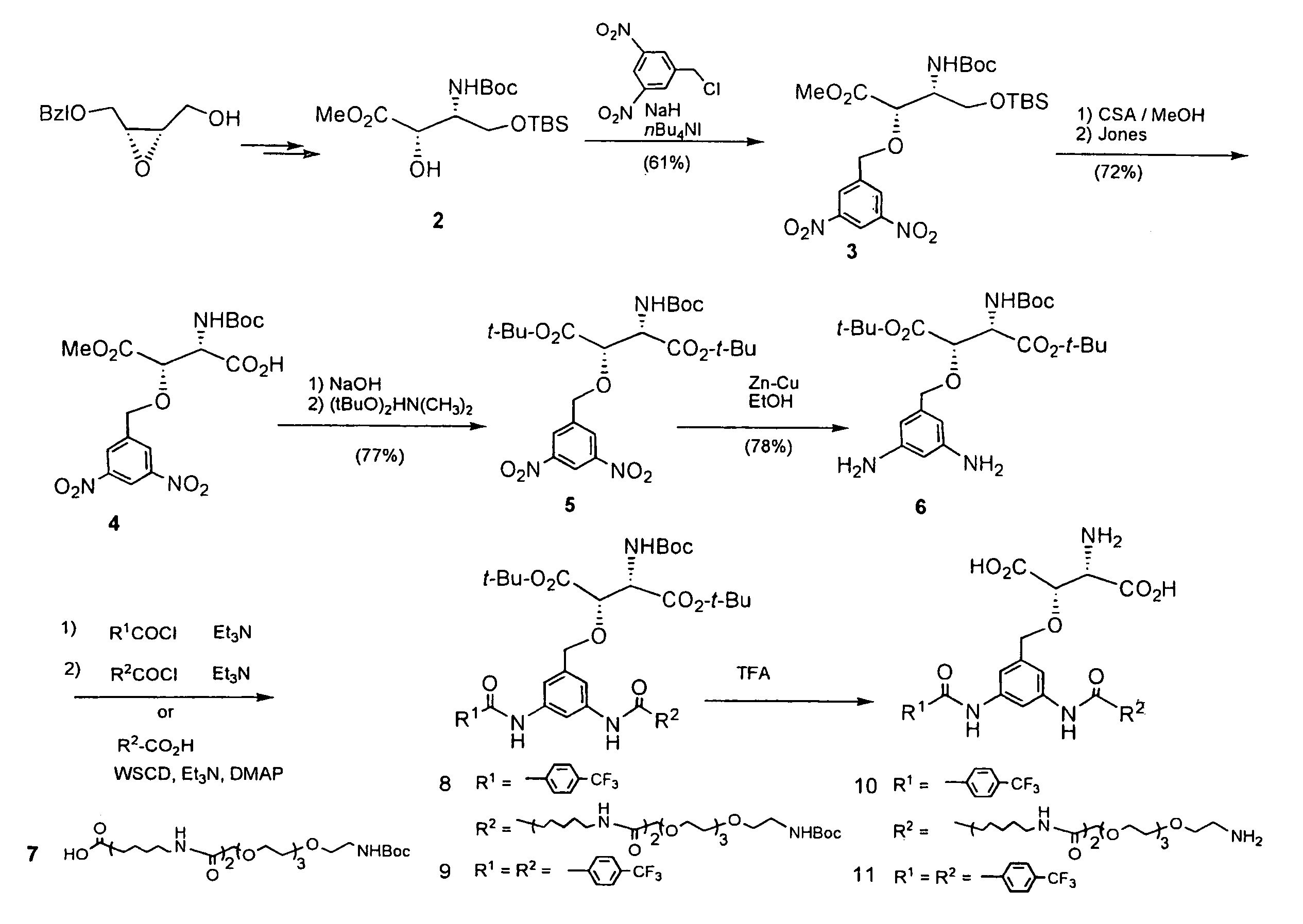 β-Benzyloxyaspartic acid derivatives having two substituents on their benzene rings