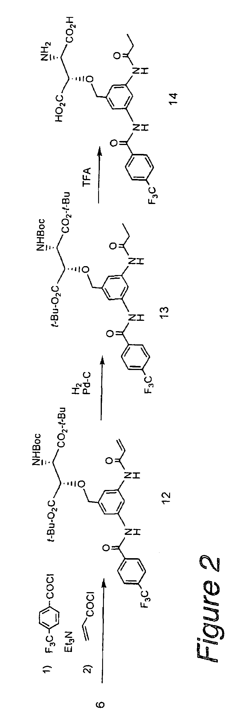 β-Benzyloxyaspartic acid derivatives having two substituents on their benzene rings