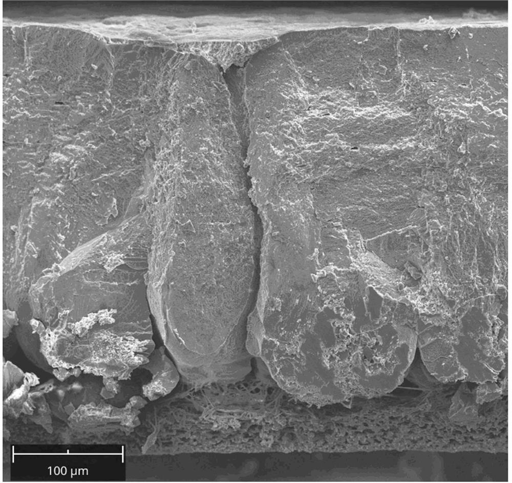 Production method of selenium-enriched embryonic eggs