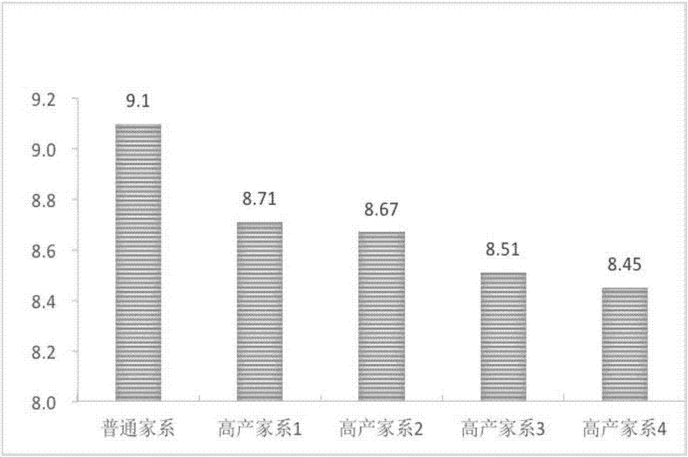 Breeding method of high-yield Hippocampus erectus families