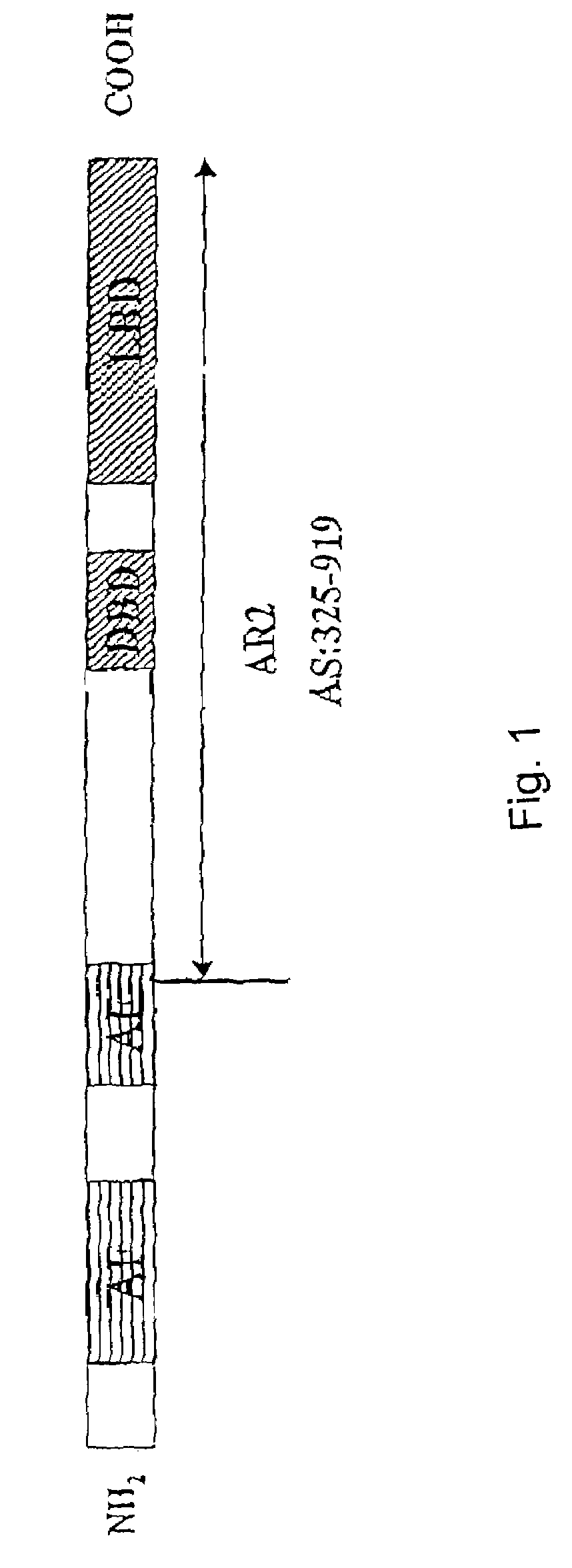 Method for testing hormonal effects of substances