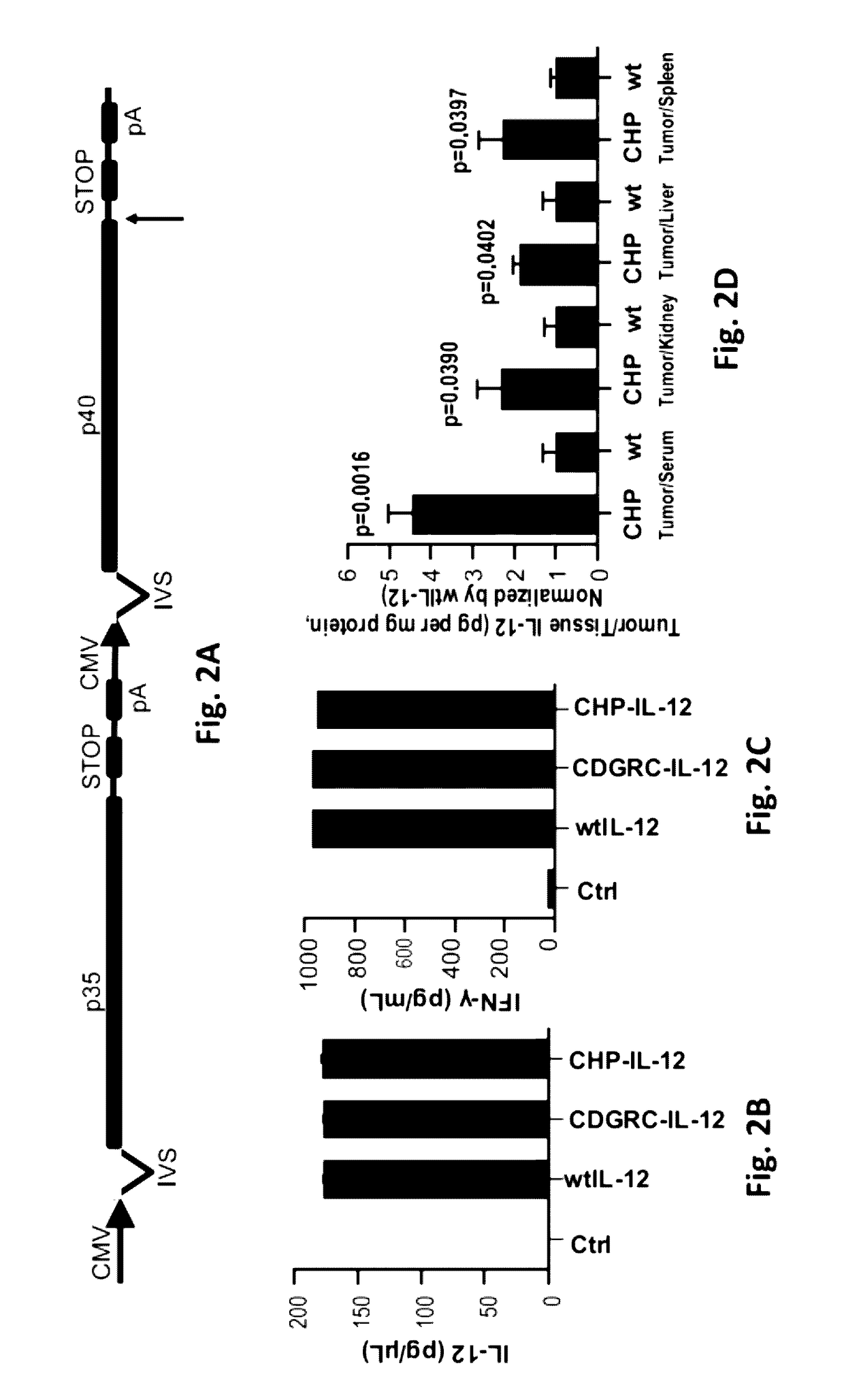 Carcinoma homing peptide (CHP), its analogs, and methods of using
