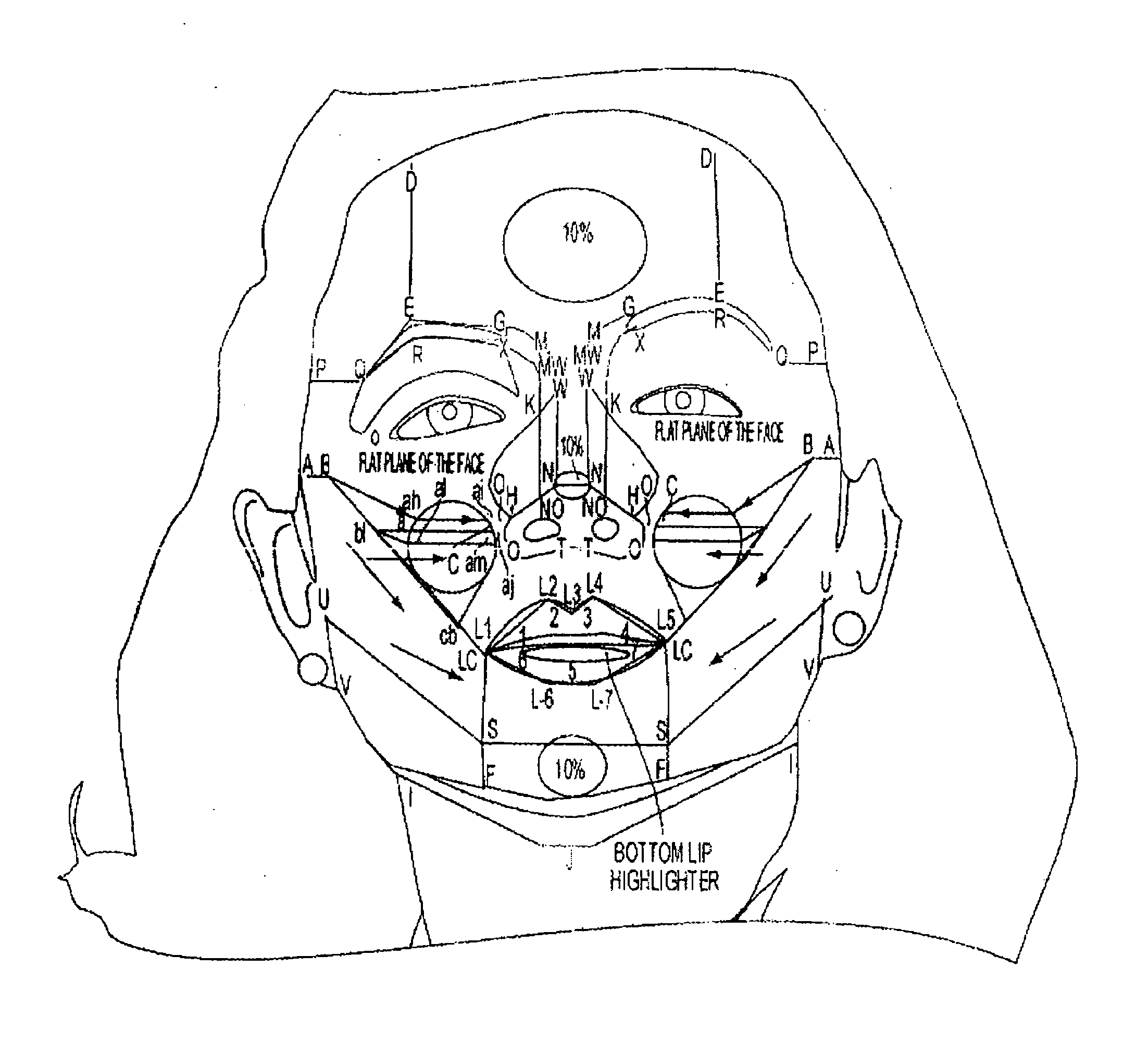 Method, System, and Computer Program Product for Providing Cosmetic Application Instructions Using Arc Lines