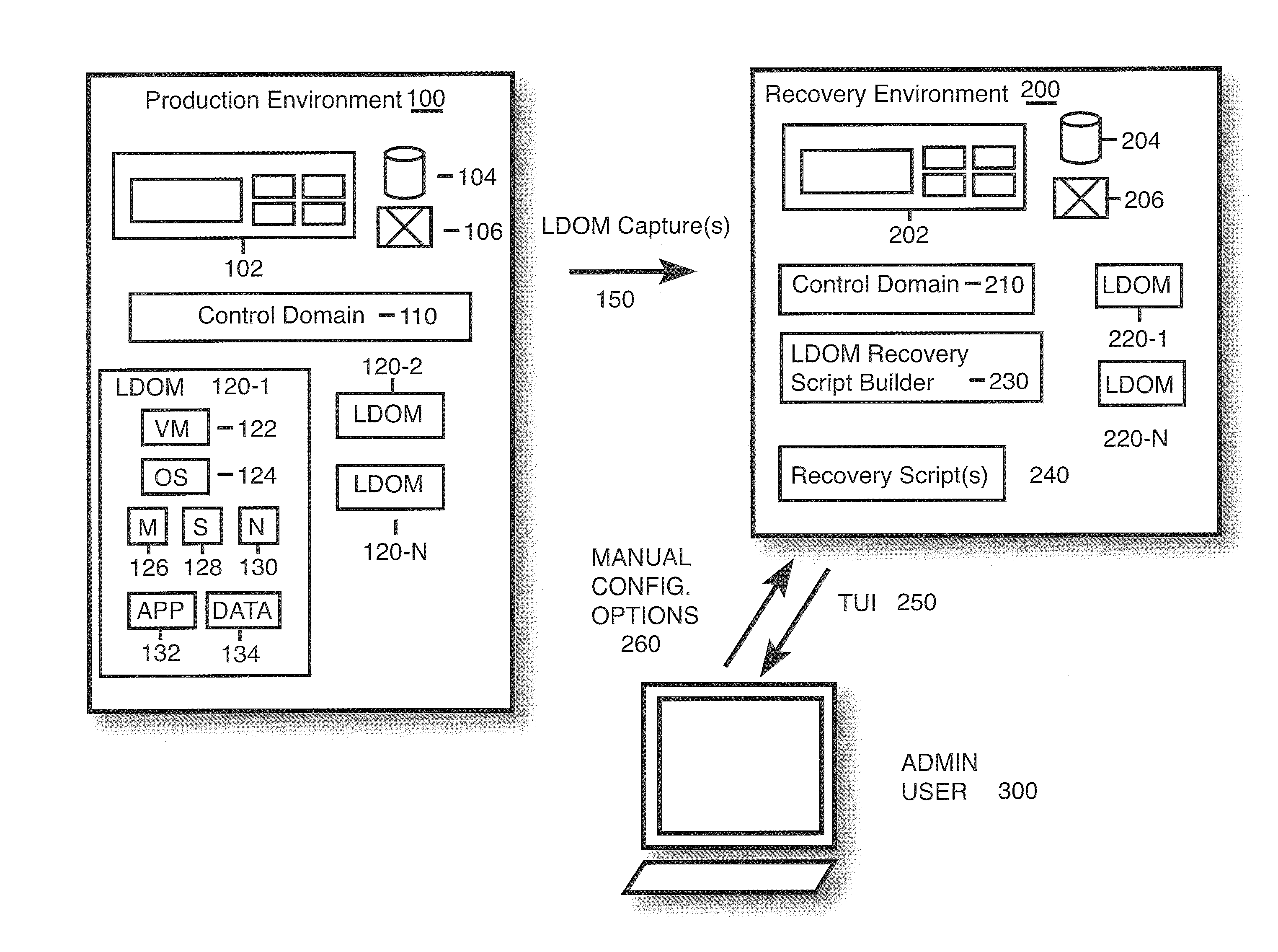 Logical domain recovery