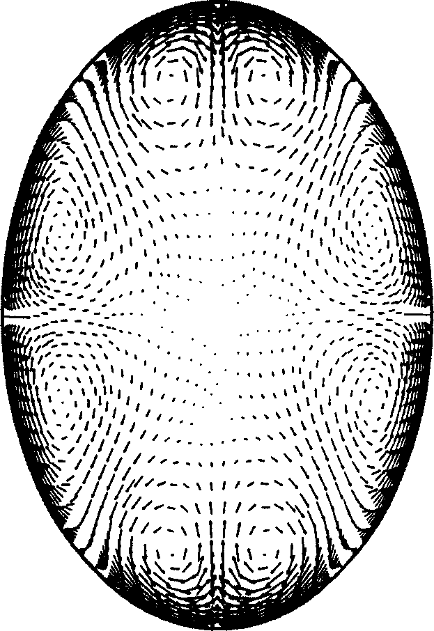 Intensified heat exchange tube with intersectional zoomed sections of circle-ellipse