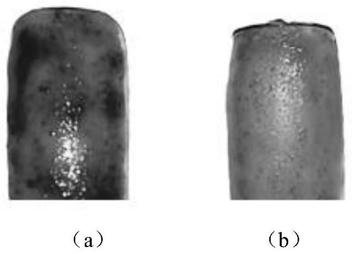 Preparation method of color-changeable natural pigment water-based manicure agent