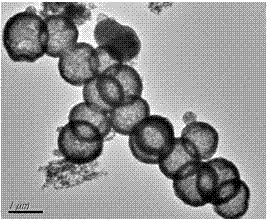 Preparation method of titanium dioxide coated iron trioxide hollow sphere