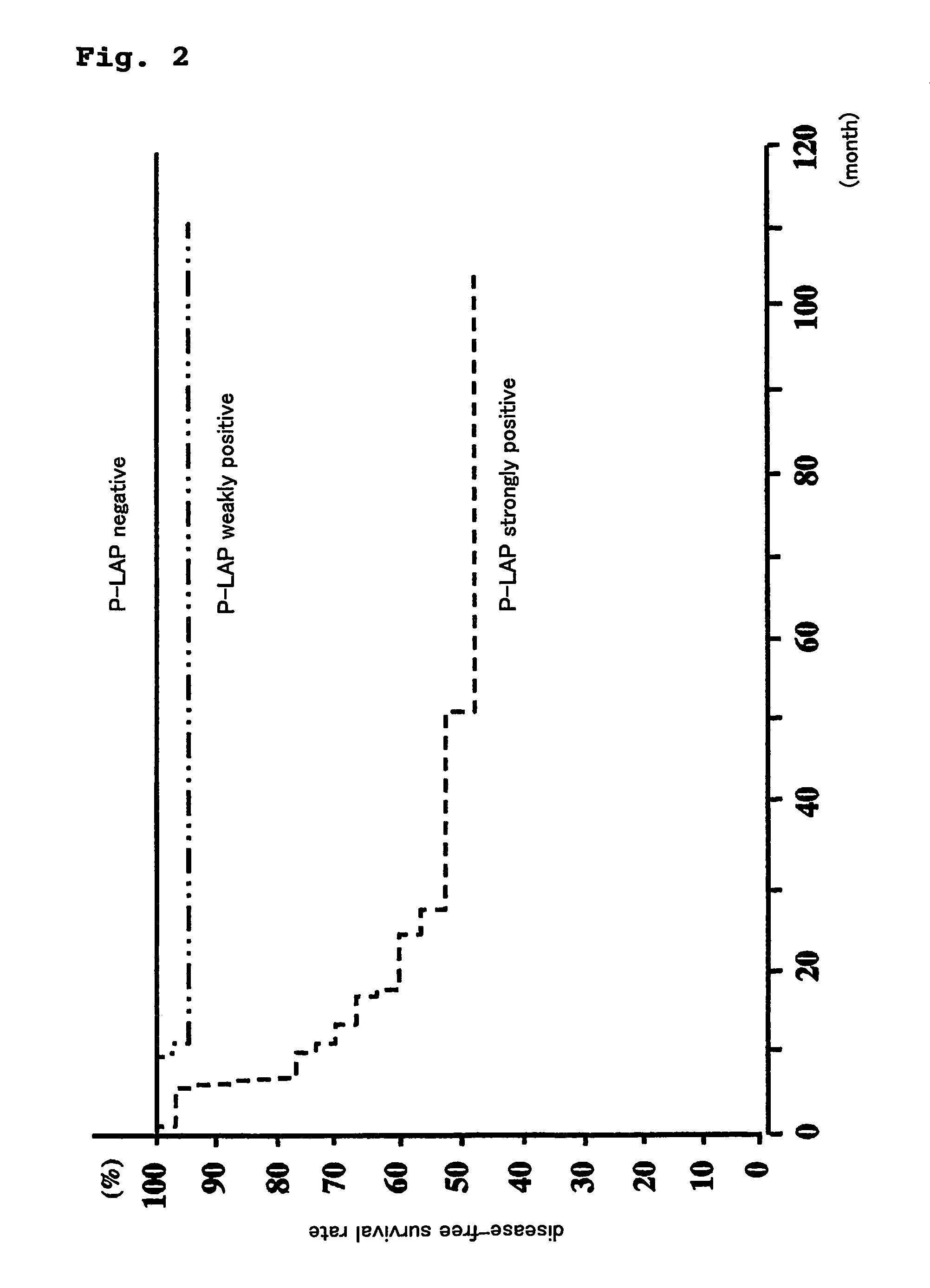 Method for prognostic evaluation of carcinoma using anti-P-LAP antibody