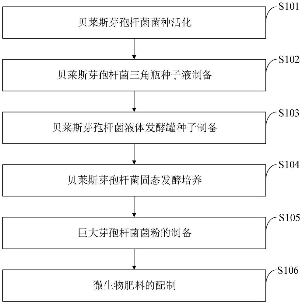 Microbial fertilizer suitable for saline alkali soil and preparation method thereof