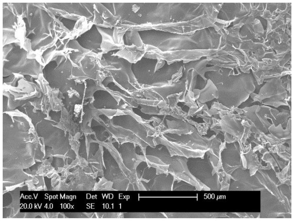 Tannic acid cross-linked chitosan/gelatin liquid-absorbing hemostatic antibacterial sponge and preparation method thereof