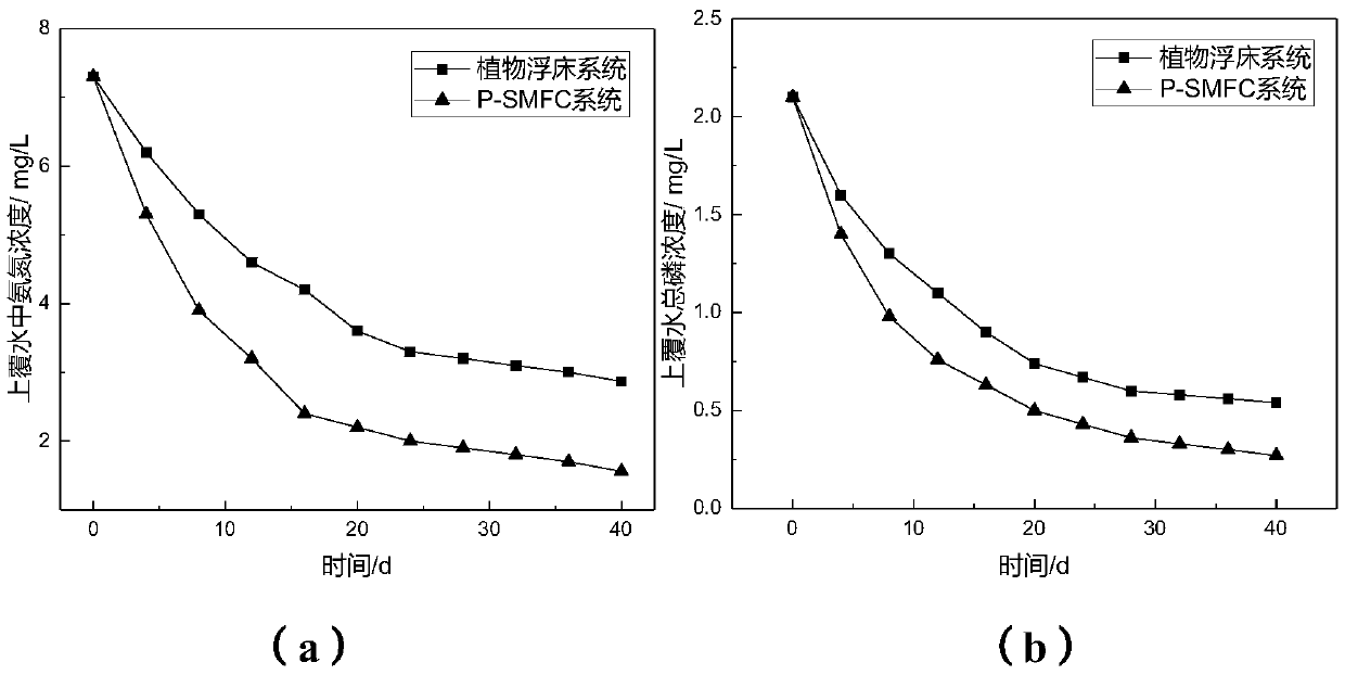 Method for treating polluted river water by utilizing plant-sediment microbial fuel cell