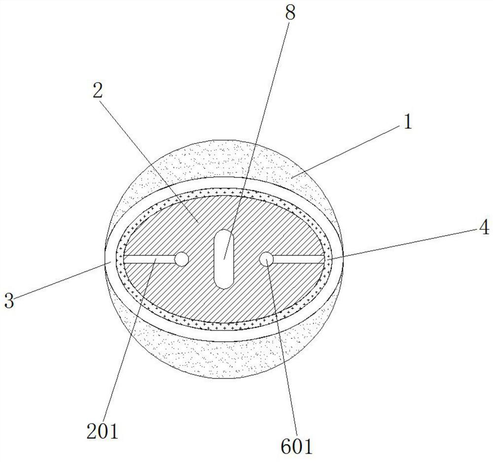 Orthopedic external fixator steel needle