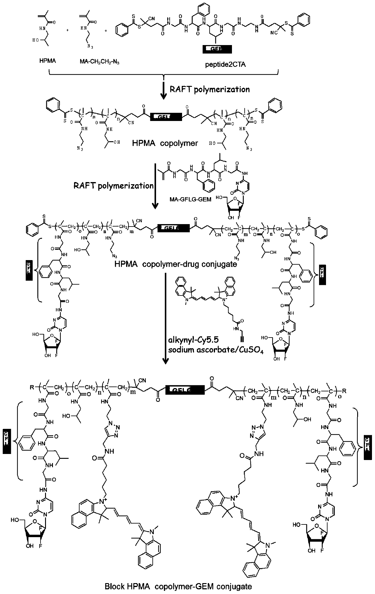 Degradable amphiphilic block hpma polymer drug delivery system stimulated by tumor microenvironment and preparation method thereof