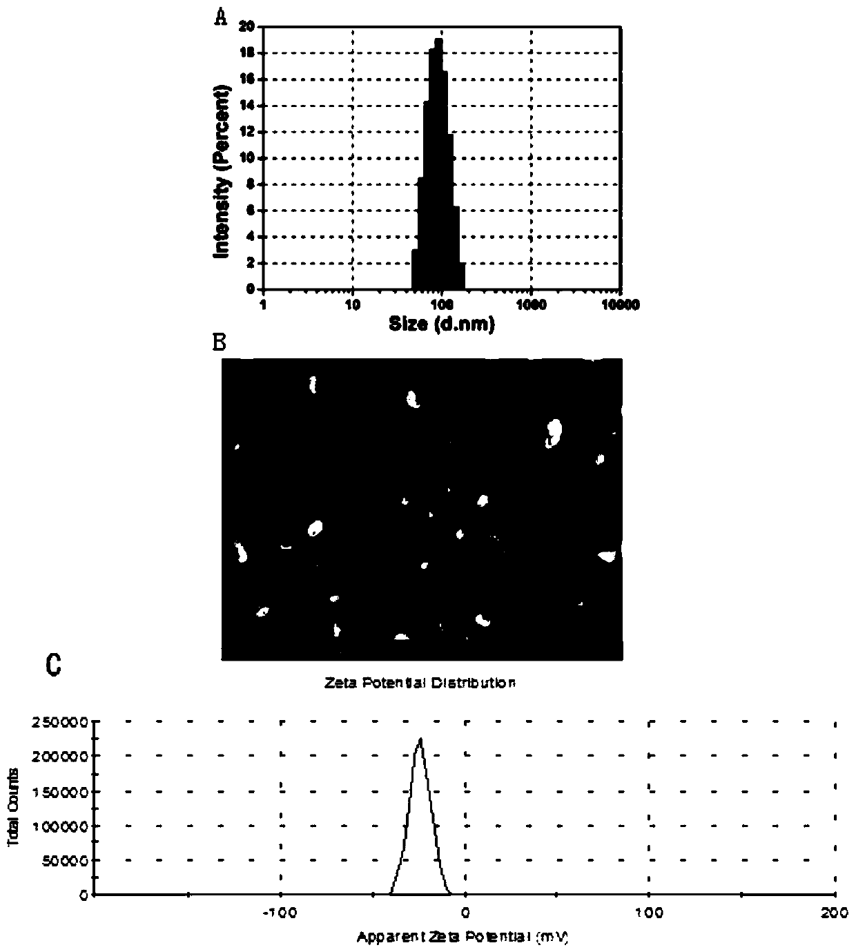 Degradable amphiphilic block hpma polymer drug delivery system stimulated by tumor microenvironment and preparation method thereof