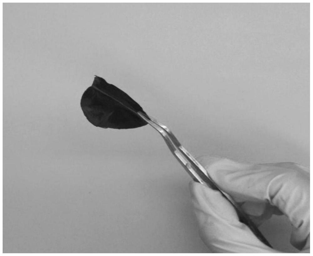 Zinc-cobalt bimetallic oxide sandwich structure flexible film electrode and preparation method thereof