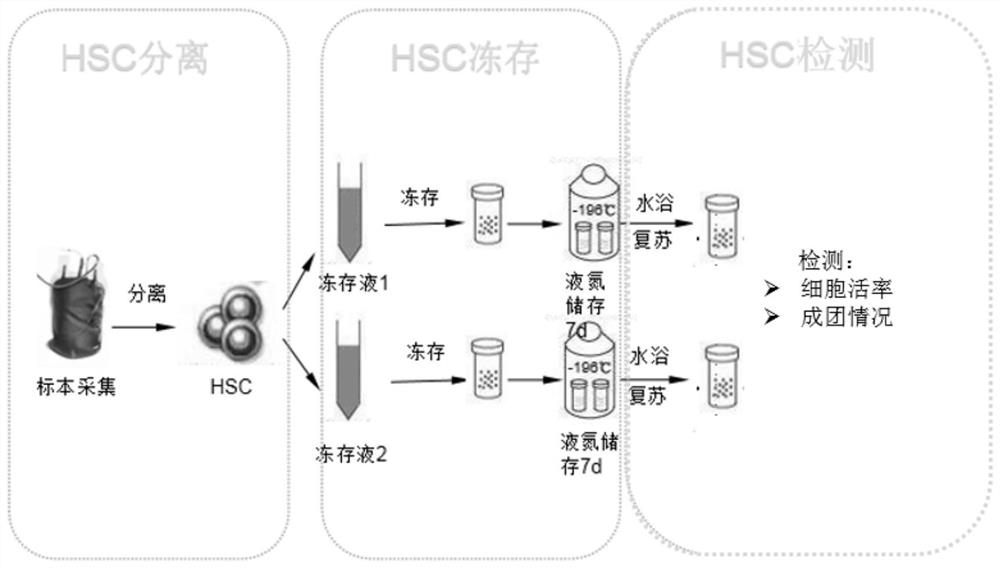 Cell cryopreservation solution, method for cryopreserving hematopoietic stem cells by using cell cryopreservation solution and stem cell preparation