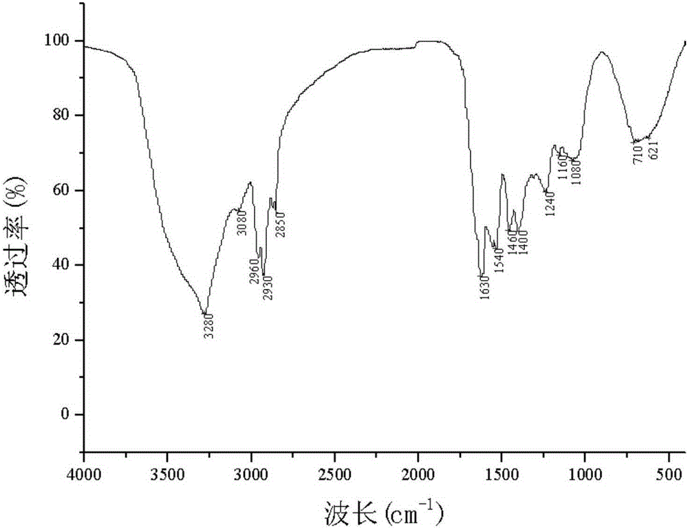 Application of lachnum water-soluble melanin SLIM404 in raising immunity