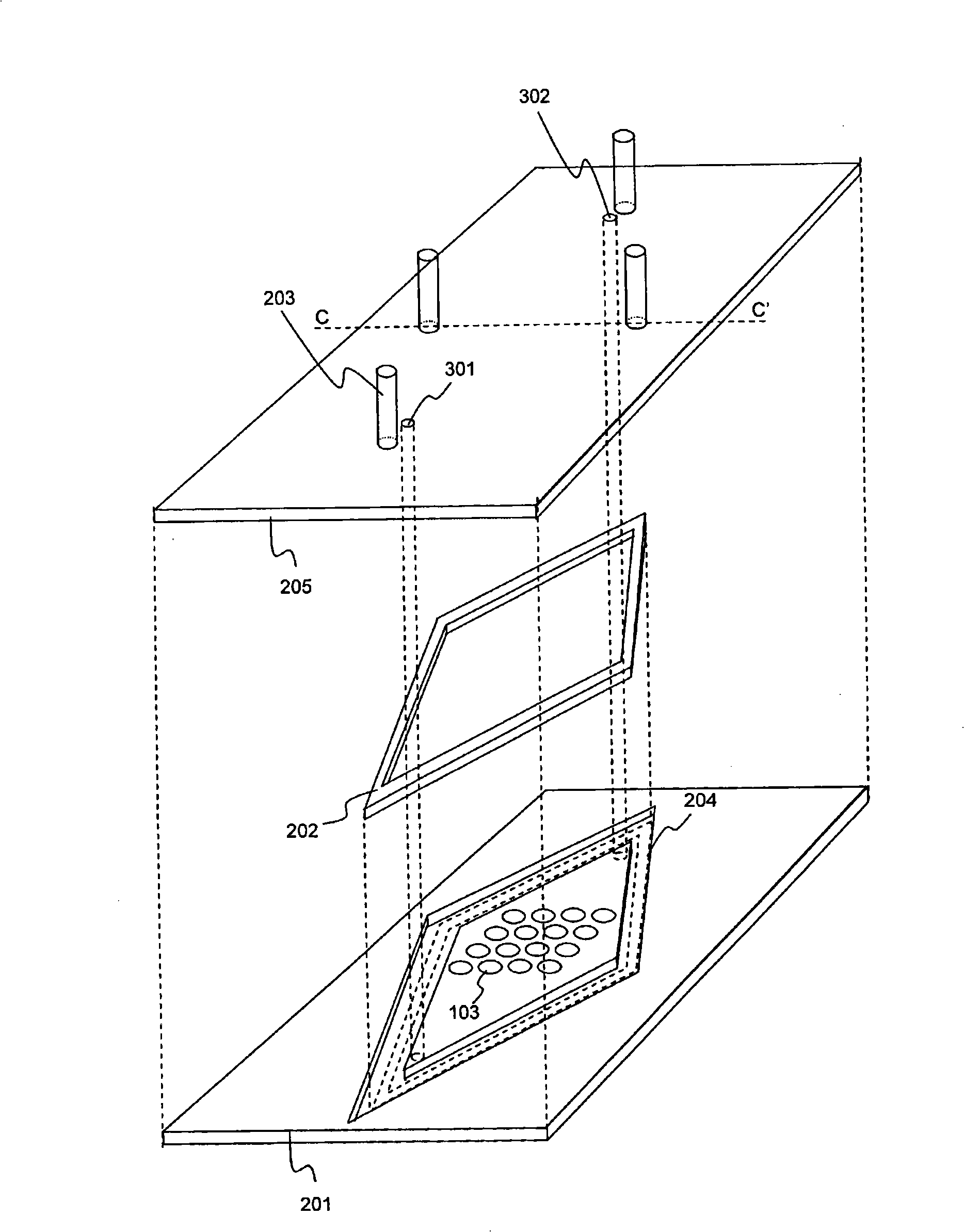 Chemiluminescent detection system