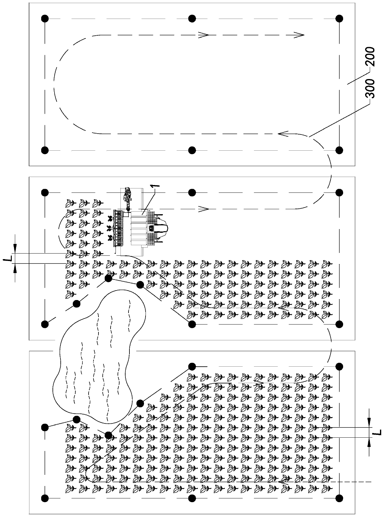 Rice transplanter and continuous rice transplanting method thereof